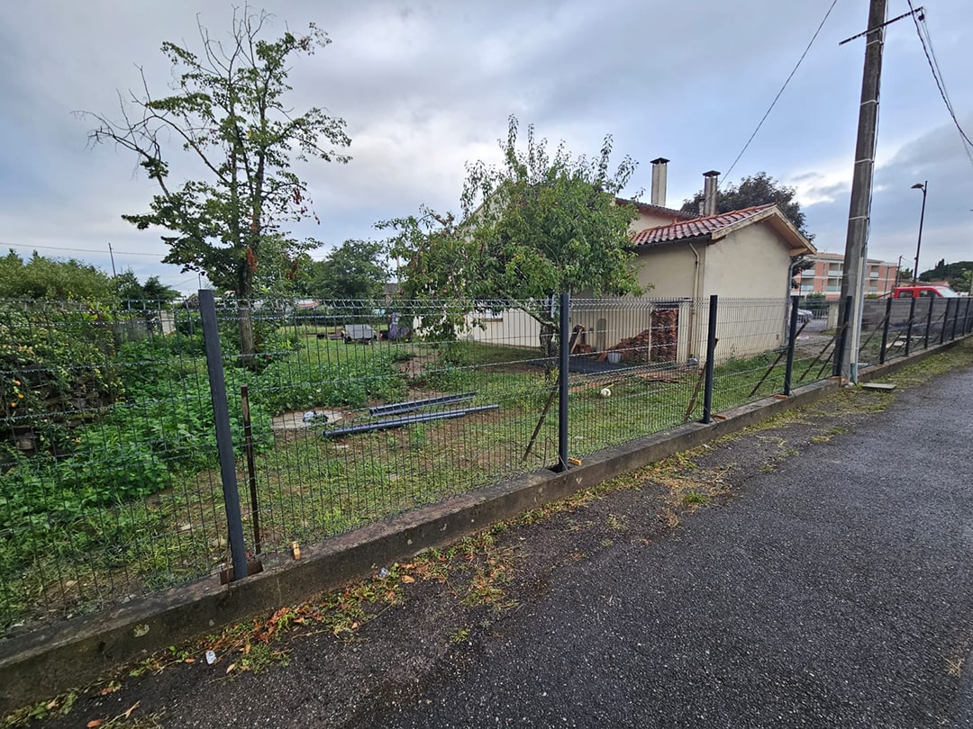 Before image